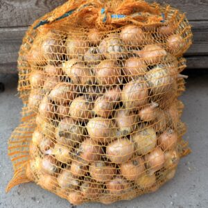 Cebula drobna 10 kg