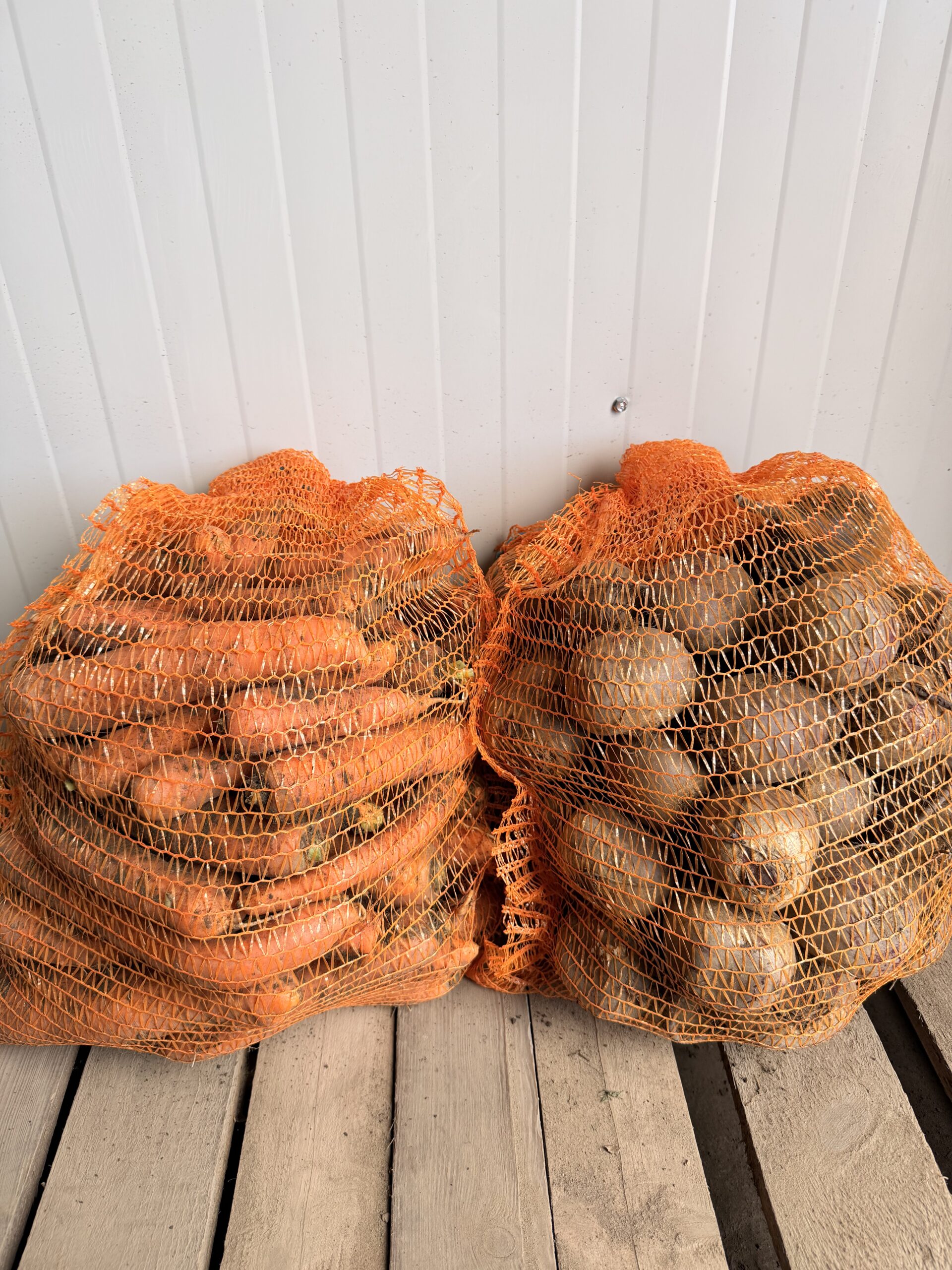 Zestaw marchew 10 kg i buraczki czerwone okrągłe 10 kg