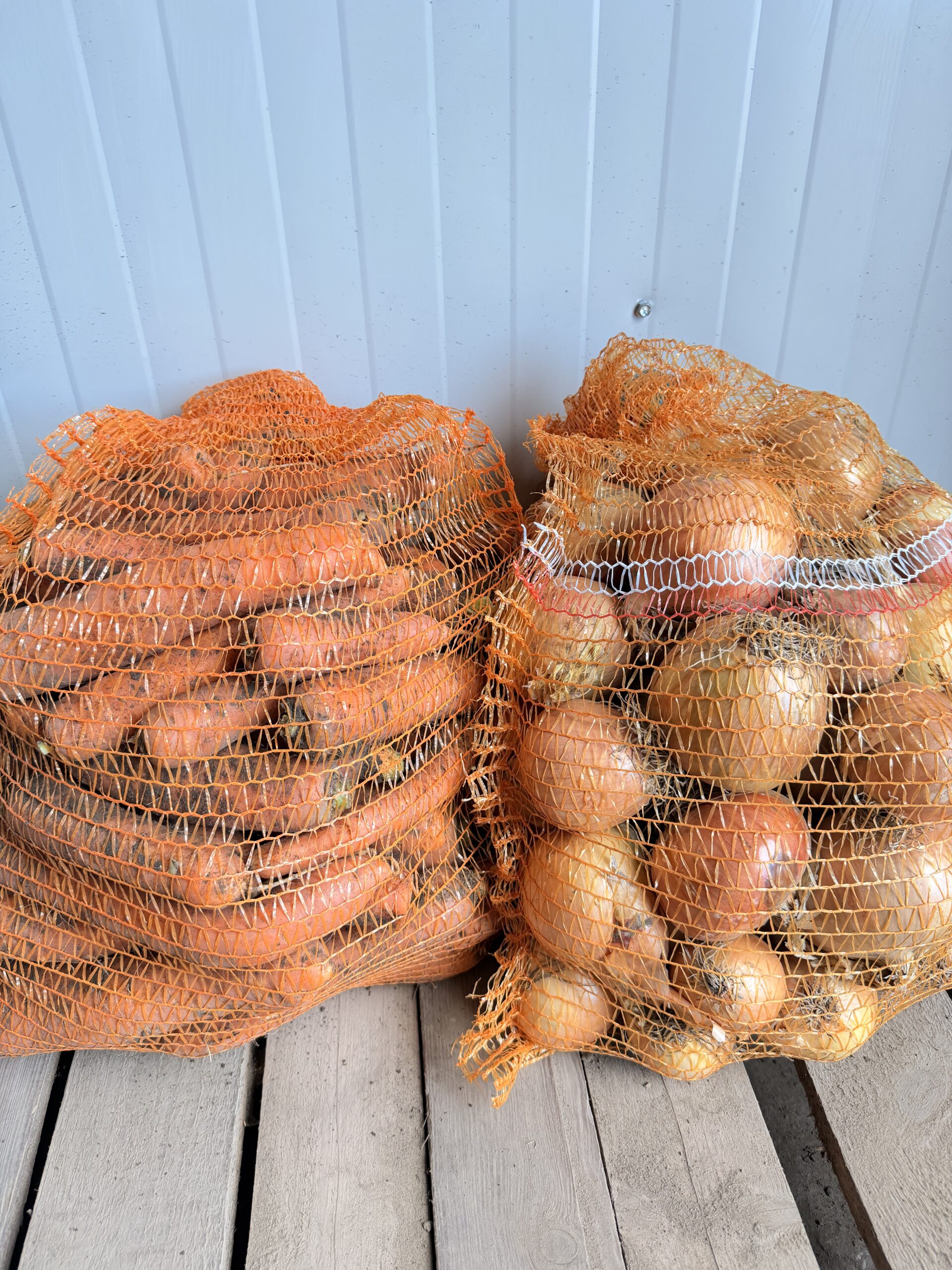 Zestaw marchew 10 kg i cebula 10 kg