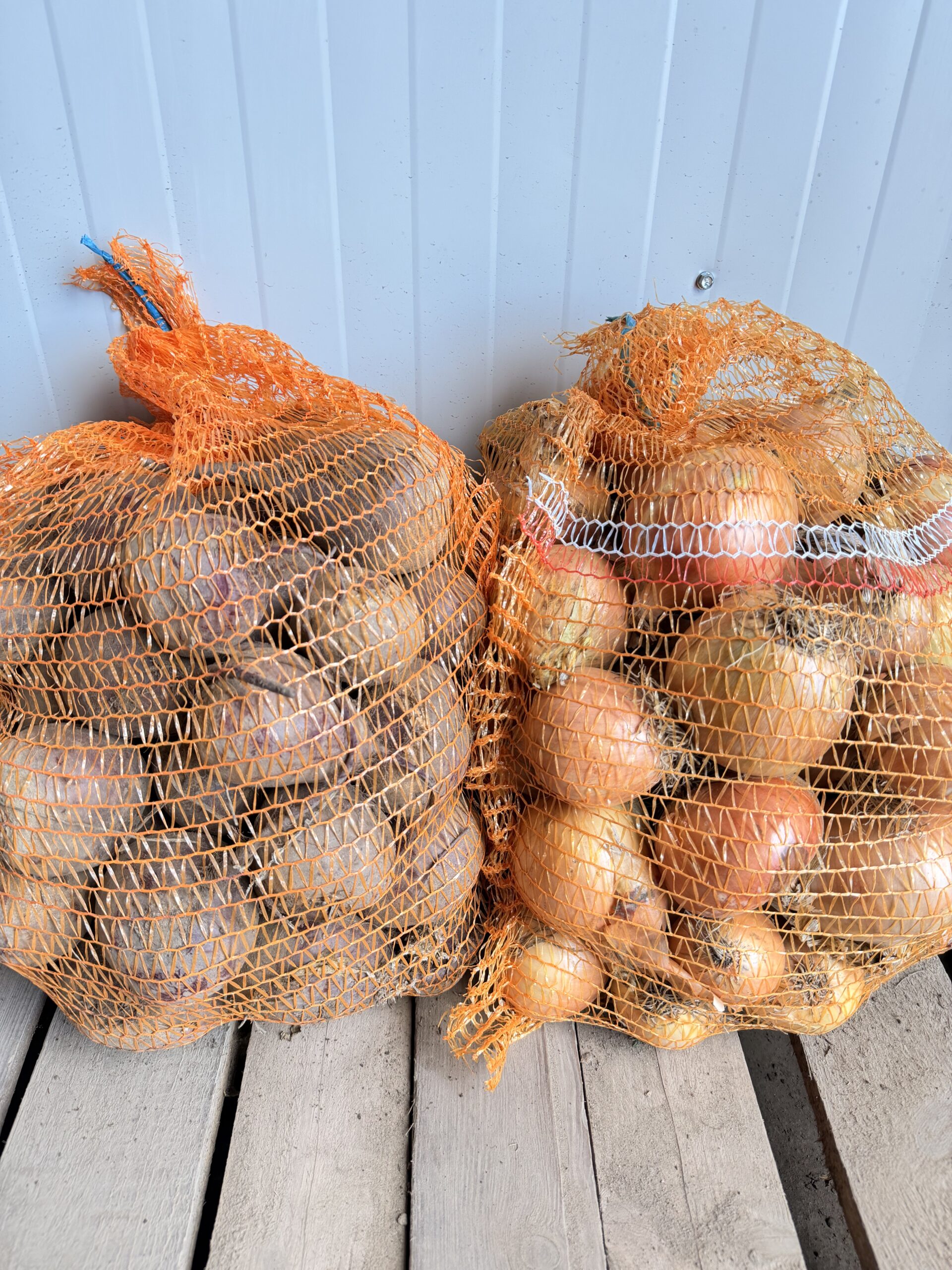 Zestaw cebula 10 kg i buraczki czerwone okrągłe 10 kg